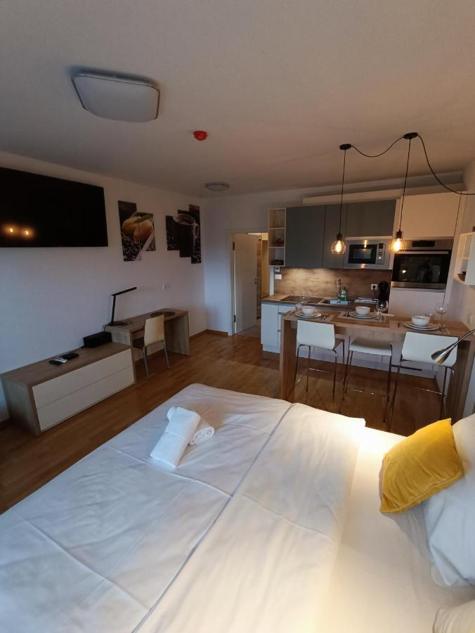 Bed & Breakfast Rezidenca Pipanova Ljubljana Extérieur photo