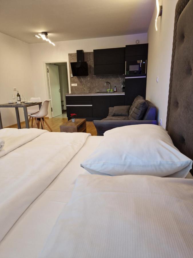 Bed & Breakfast Rezidenca Pipanova Ljubljana Extérieur photo